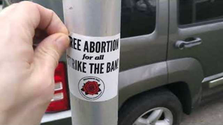 Removing Pro Abortion #Antifa #DSA Propaganda To Beautify The Neighborhood