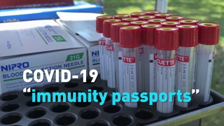 What are COVID-19 "immunity passports?"