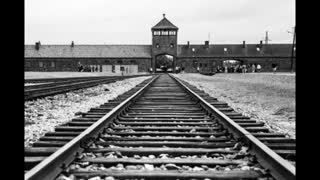 Do the Locomotion with me in Auschwitz by Fashbird2814