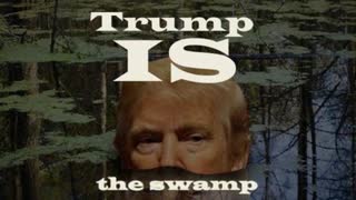 TRUMP IS THE SWAMP