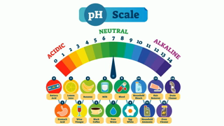 PH Scale in Simple Terms - Learn goy