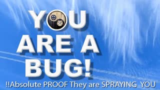 You Are a Bug! -- That's Why They SPRAY You!