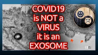 EXOSOME ->Not a VIRUS