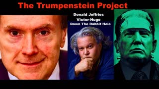 Donald Jeffries VictorHugo Trumpenstein Project Donald Trump Installed To Divide USA Not Drain Swamp