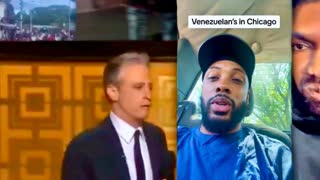 Bull Runs Over Cow Jon Stewart Fuels Black White Race War Chicago Black Warns Venezuelan Taco Gangs