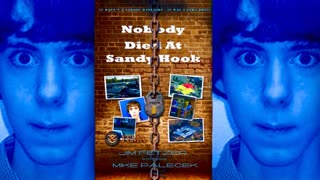 Jim Fetzer Sandy Hook Court Case Exposes Corrupt Justice System Destroying Constitution Jury Trials