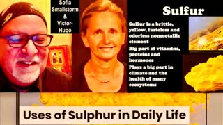 Sofia Smallstorm Victor Hugo Sulfur Eliminates Heavy Metals Electro Nanotech Devices In Human Blood