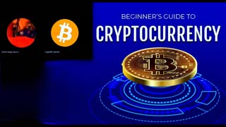 Digital Gold Safeguard Wealth A Beginners Guide To CryptoCurrency Bitcoin Rises USA Fiat Dollar Dies