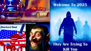 New Year Terror Attacks Toxic Fog More Coming Dr Deborah Drake Karen Macdonald Ryan Veli Victor Hugo