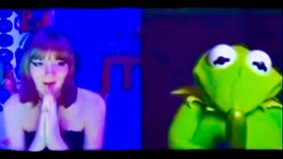 Kermit The Frog Indecent Exposure PBS Accused Of Grooming Children With Sexualized LGBTQ Content