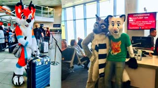 Furries At Airports Used To Attract Children Reader Comments Information War Censorship On Steroids