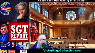 SGT Report Flynn William DeBilzan Sandy Hook Jim Fetzer Brian Davidson Revolution Radio Victor Hugo