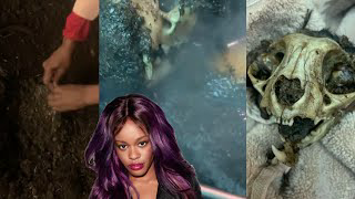 Azealia Banks digs up her cat and cooks the bones in a pot