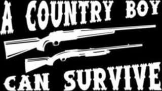 Hank_Williams Jr. - A Country Boy Can Survive