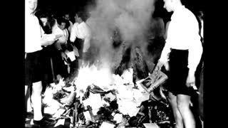 The NS German Book Burnings, Apr 5, 2024