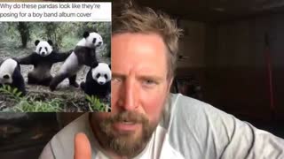 Owen Benjamin - Panda Bear Denier, Aug 11, 2023