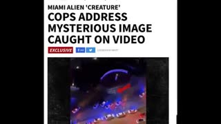 Creature At Miami Mall Video, Jan 6, 2024