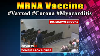 MRNA Vaccine - Doctor Shawn Brooks (FTAOL - From Truth And Other Lies)