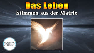 Das Leben - Stimmen aus der Matrix (FTAOL - From Truth And Other Lies)