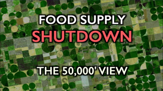 Food Supply Shutdown:  Deer, fish, pigs euthanized; crops not planted