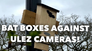 Anti-Ulez Activists Cover Cameras With Bat Boxes.