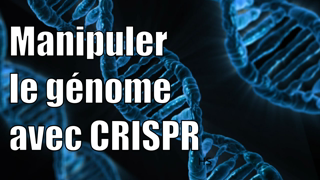 Modifier le génome avec CRISPR