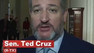 Ted Cruz Praises Canadian Trucker Convoy: They Stand For â€˜Freedomâ€™