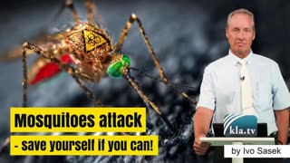 Mosquitoes attack – Save yourself if you can! By KLA.TV founder Ivo Sasek