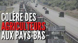 Ce qu'il se passe vraiment aux Pays-Bas avec la rÃ©volte des agriculteurs !