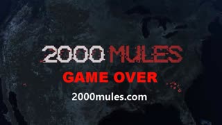 Trailer 2000 mules (coming soon)