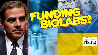 DAMNING Emails Uncover Hunter Biden's Role In Funding UKRAINIAN BIOLABS: Report