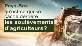 Pays-Bas : qu'est-ce qui se cache derriÃ¨re les soulÃ¨vements d'agriculteurs ? - Kla.tv