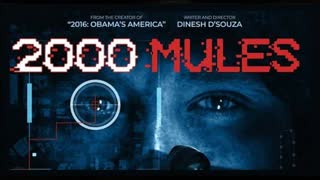 2000 Mules - documentary film by Dinesh Joseph D'Souza