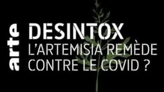 Covid-19 : une boisson miracle Ã  Madagascar ? - DÃ©sintox - ARTE