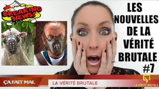 Les Nouvelles de la VÃ‰RITÃ‰ BRUTALE #7