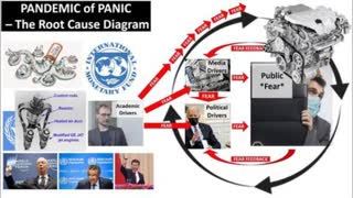 This Pandemic of Panic - EXPLAINED SIMPLY - in 3 minutes flat!