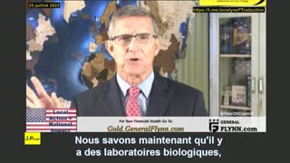 Michael flynn on ukraine – human and child trafficking - weapon trafficking - biolabs (vostfr)