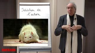 20 minutes pour comprendre l'inhibition de l'action & le Covid-19 avec Philippe Bobola - 1/2