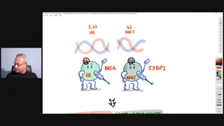 Spike Protein Goes to Nucleus and Impairs DNA Repair (In-Vitro Study)