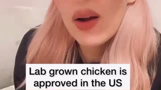 Lab Grown Chicken by GOOD Meat is now FDA Approved