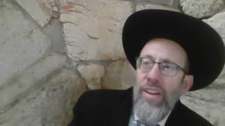 RABBI DANIEL TRAVIS - "Before Moshiach comes and a NWO is instituted, WE NEED TO DESTROY!"