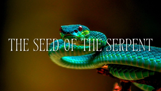 The Seed of the Serpent - Pastor Jonathan Shelley | SBC