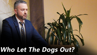 Who Let the Dogs Out? (Pastor Joe Jones) Wednesday-PM