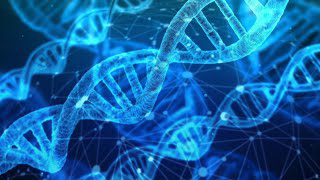 The probability of a single protein forming by chance