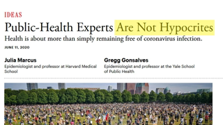 Health Expert doublespeak: Covid19 and racism