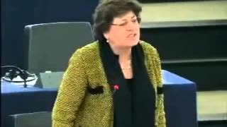 Nick Griffin Speaks 'Kalergi' At The EU Parliament (vs. Jew Rat Karen)