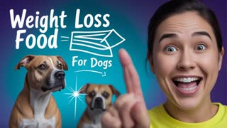 Is Your Dog Overweight? Find the Best Weight Loss Food For Dog