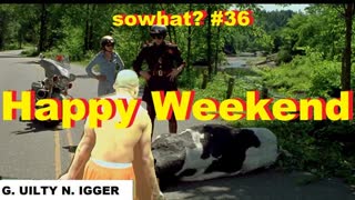 sowhat #36 - Happy Weekend