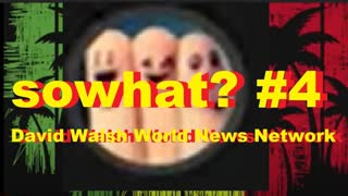 sowhat #4 - David Walsh World News Network