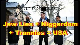 Jew Lies + Niggerdom + Trannies   USA